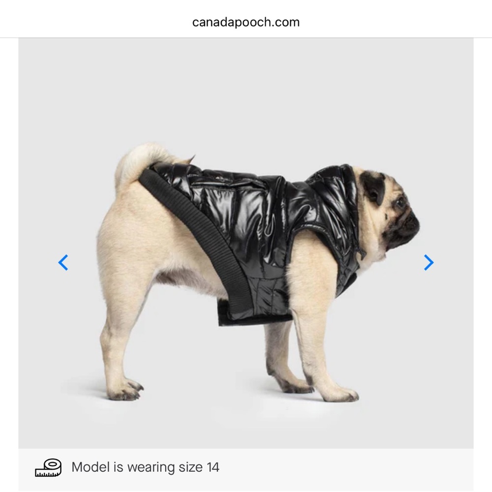 Black Quilted Dog Coat